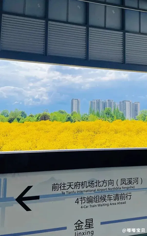 如何培养青少年篮球后卫的比赛意识_0